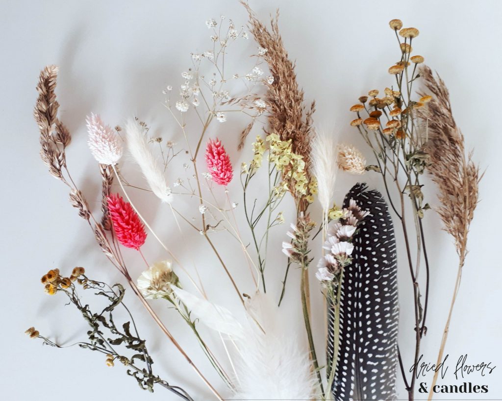 Zou houd jij je droogbloemen mooi